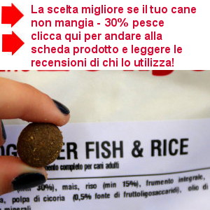 crocchette al pesce se il cane non mangia